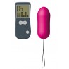 Oeuf vibrant Secret Vibe - Marc Dorcel