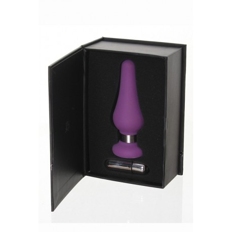 Moyen plug anal - Porte secrète