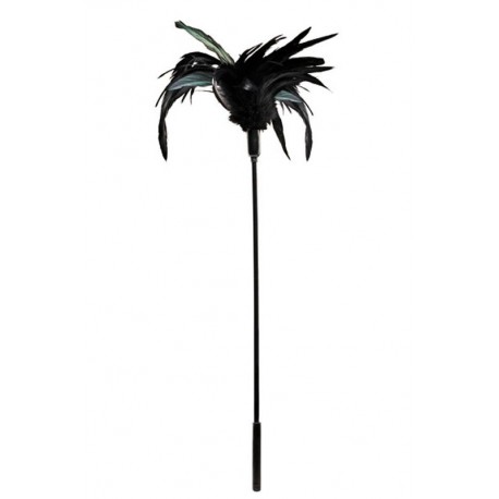 Plumeau noir